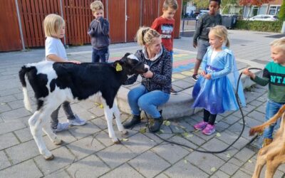 Basisscholen Brielle zetten in op groene schoolpleinen!